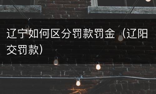 辽宁如何区分罚款罚金（辽阳交罚款）