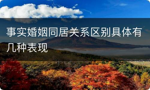 事实婚姻同居关系区别具体有几种表现