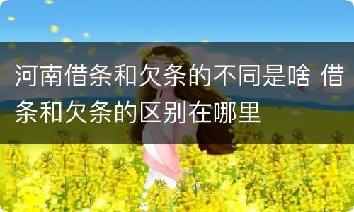 河南借条和欠条的不同是啥 借条和欠条的区别在哪里