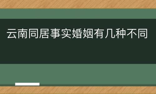 云南同居事实婚姻有几种不同