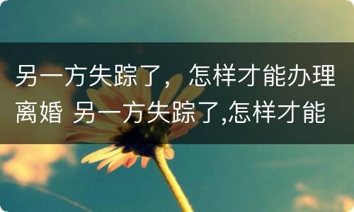 另一方失踪了，怎样才能办理离婚 另一方失踪了,怎样才能办理离婚手续