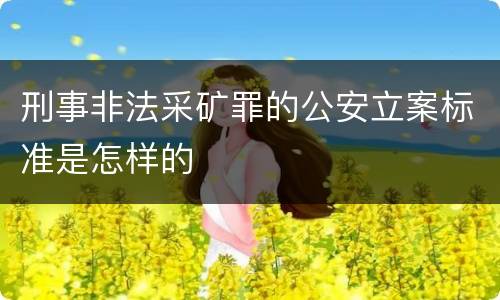刑事非法采矿罪的公安立案标准是怎样的