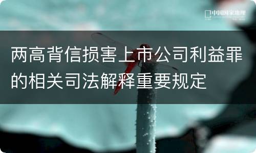 两高背信损害上市公司利益罪的相关司法解释重要规定