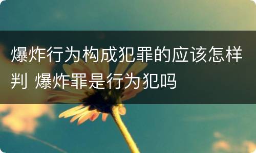 爆炸行为构成犯罪的应该怎样判 爆炸罪是行为犯吗