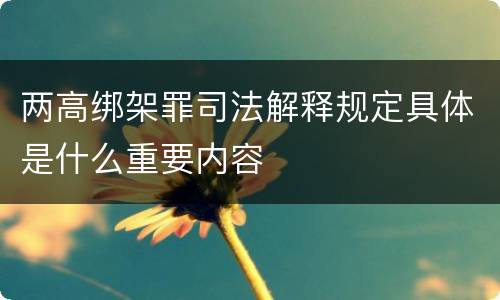 两高绑架罪司法解释规定具体是什么重要内容