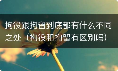 拘役跟拘留到底都有什么不同之处（拘役和拘留有区别吗）