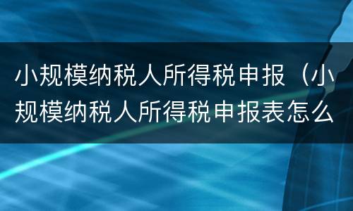小规模纳税人所得税申报（小规模纳税人所得税申报表怎么填）
