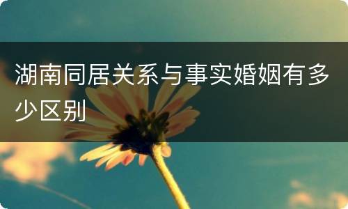湖南同居关系与事实婚姻有多少区别