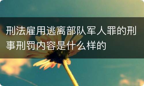 刑法雇用逃离部队军人罪的刑事刑罚内容是什么样的