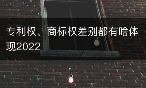 专利权、商标权差别都有啥体现2022