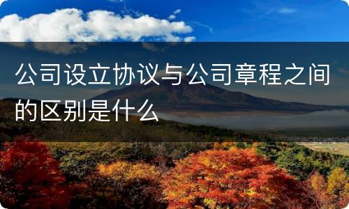 公司设立协议与公司章程之间的区别是什么