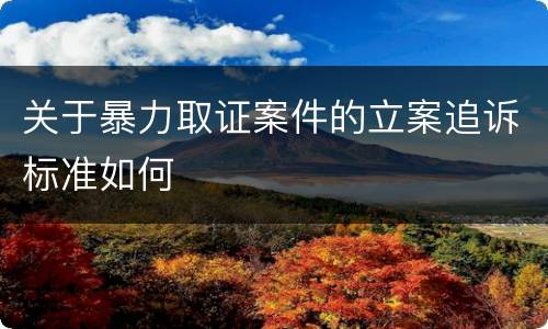 关于暴力取证案件的立案追诉标准如何