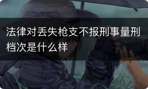 法律对丢失枪支不报刑事量刑档次是什么样