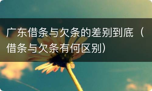 广东借条与欠条的差别到底（借条与欠条有何区别）