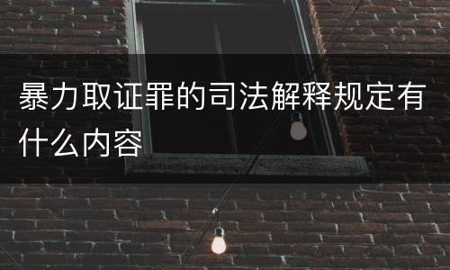 暴力取证罪的司法解释规定有什么内容