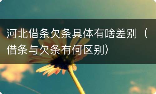 河北借条欠条具体有啥差别（借条与欠条有何区别）