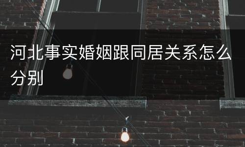 河北事实婚姻跟同居关系怎么分别
