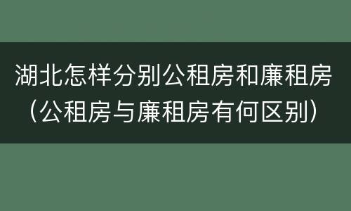湖北怎样分别公租房和廉租房（公租房与廉租房有何区别）