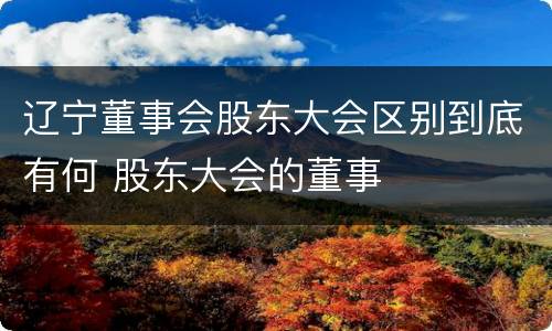 辽宁董事会股东大会区别到底有何 股东大会的董事