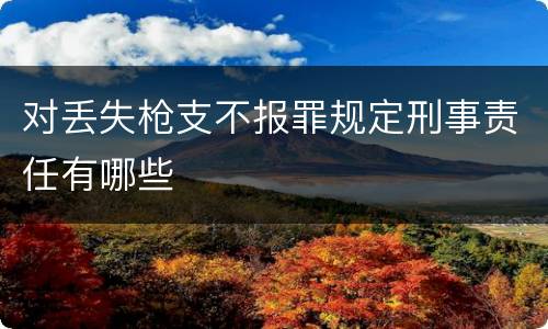 对丢失枪支不报罪规定刑事责任有哪些