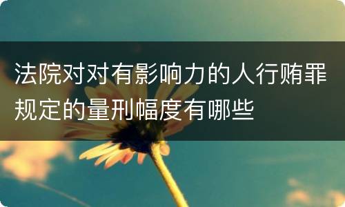 法院对对有影响力的人行贿罪规定的量刑幅度有哪些