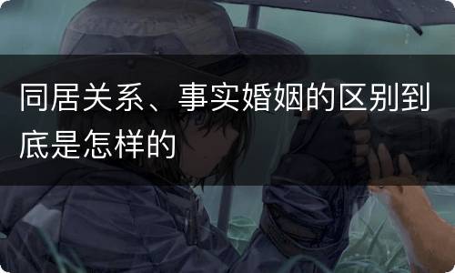 同居关系、事实婚姻的区别到底是怎样的