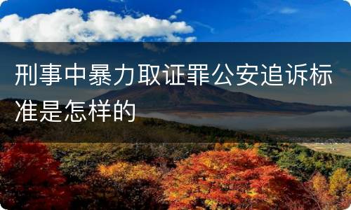 刑事中暴力取证罪公安追诉标准是怎样的