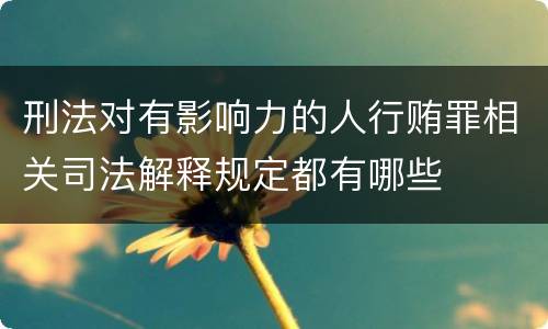 刑法对有影响力的人行贿罪相关司法解释规定都有哪些