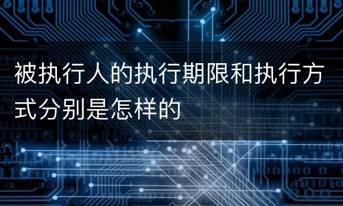 被执行人的执行期限和执行方式分别是怎样的