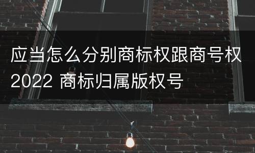 应当怎么分别商标权跟商号权2022 商标归属版权号