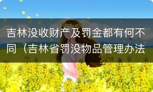 吉林没收财产及罚金都有何不同（吉林省罚没物品管理办法）