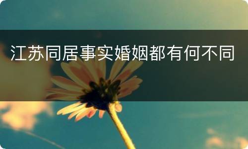 江苏同居事实婚姻都有何不同