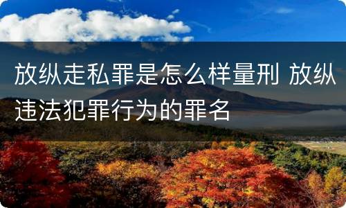 放纵走私罪是怎么样量刑 放纵违法犯罪行为的罪名