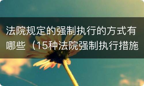 法院规定的强制执行的方式有哪些（15种法院强制执行措施有哪些）