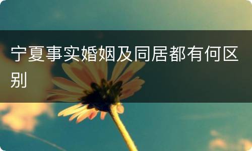 宁夏事实婚姻及同居都有何区别