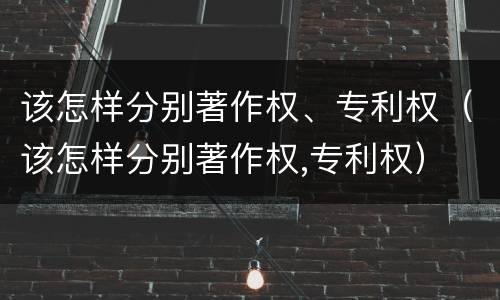 该怎样分别著作权、专利权（该怎样分别著作权,专利权）