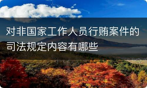 对非国家工作人员行贿案件的司法规定内容有哪些