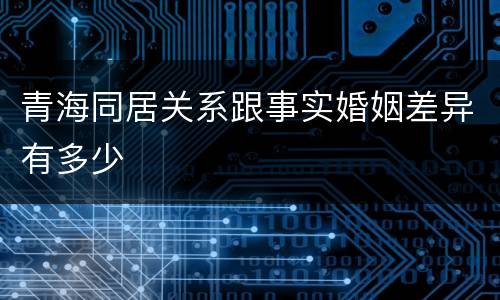 青海同居关系跟事实婚姻差异有多少