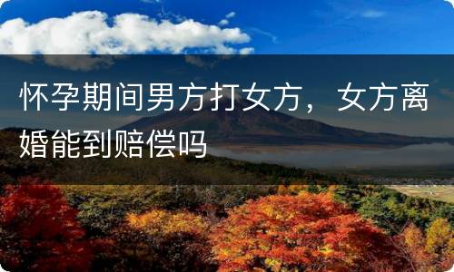 怀孕期间男方打女方，女方离婚能到赔偿吗