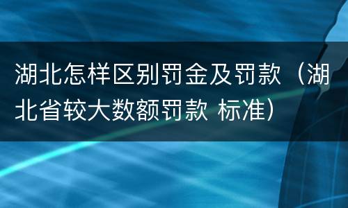湖北怎样区别罚金及罚款（湖北省较大数额罚款 标准）