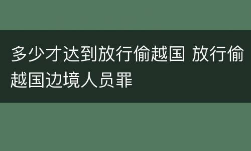 多少才达到放行偷越国 放行偷越国边境人员罪