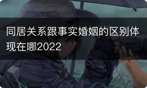 同居关系跟事实婚姻的区别体现在哪2022