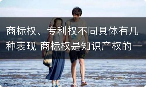 商标权、专利权不同具体有几种表现 商标权是知识产权的一种吗