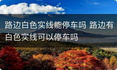 路边白色实线能停车吗 路边有白色实线可以停车吗
