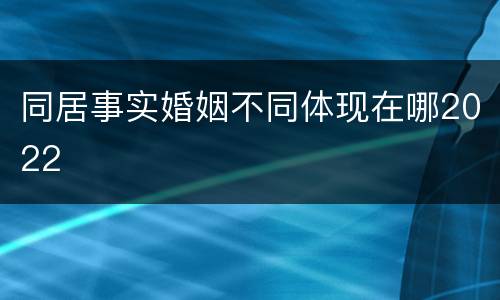 同居事实婚姻不同体现在哪2022