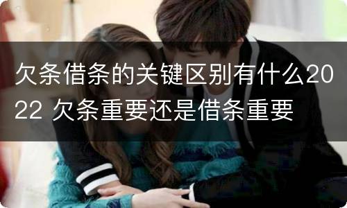 欠条借条的关键区别有什么2022 欠条重要还是借条重要