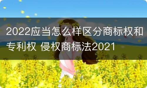 2022应当怎么样区分商标权和专利权 侵权商标法2021