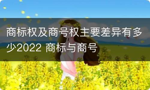 商标权及商号权主要差异有多少2022 商标与商号