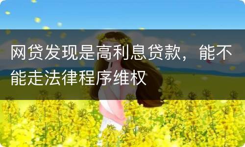 网贷发现是高利息贷款，能不能走法律程序维权