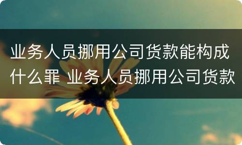 业务人员挪用公司货款能构成什么罪 业务人员挪用公司货款能构成什么罪行